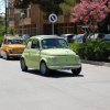 Montevago 2010 (308)